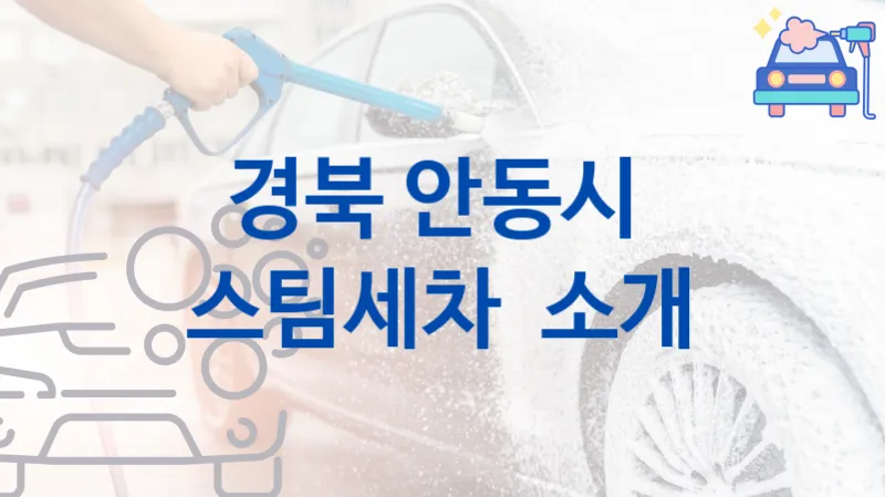 안동시 자동차 스팀세차 안내 추천 크기별 세차 가격