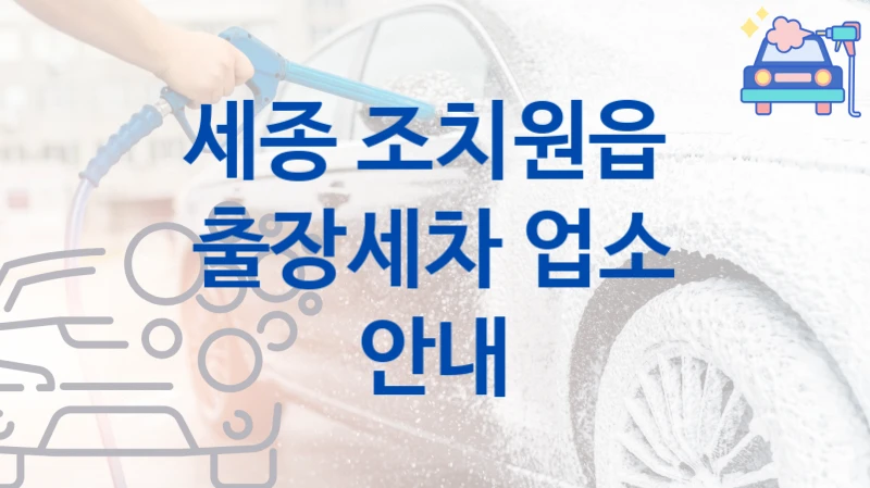 세종 조치원읍 
출장세차 업소 안내