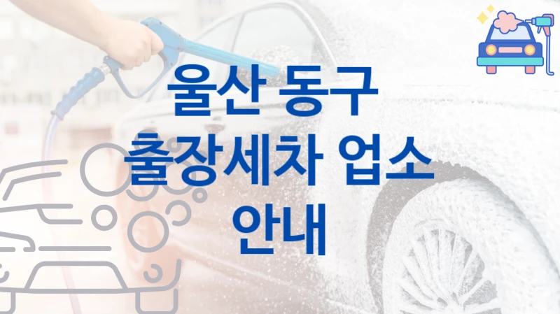 울산 동구 
출장세차 업소 안내