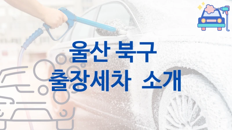 울산 북구 
출장세차  소개