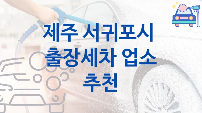 제주 서귀포시 방문 출장세차 추천- 차량 크기별 부위별 비용
