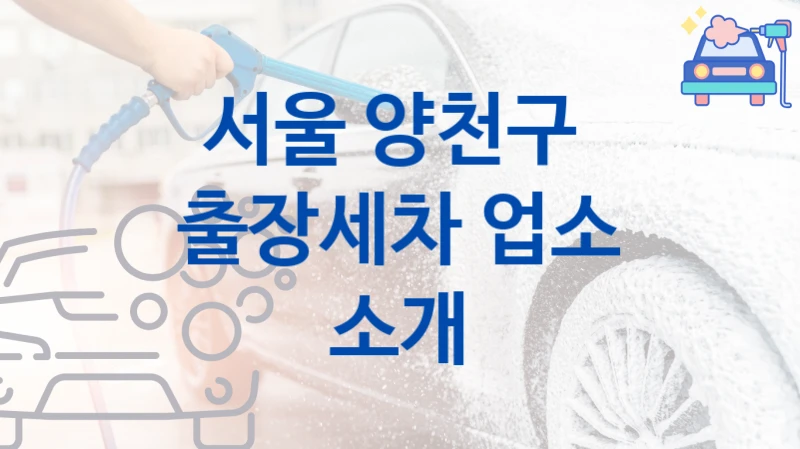 서울 양천구 
출장세차 업소 소개