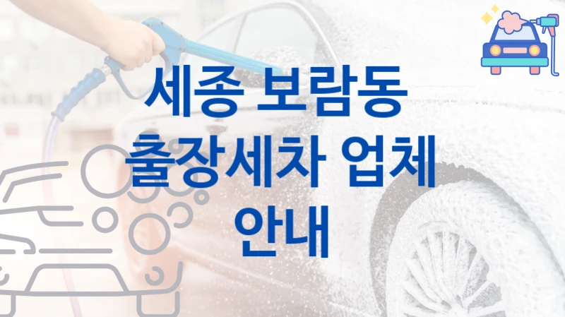 세종 보람동 
출장세차 업체 안내