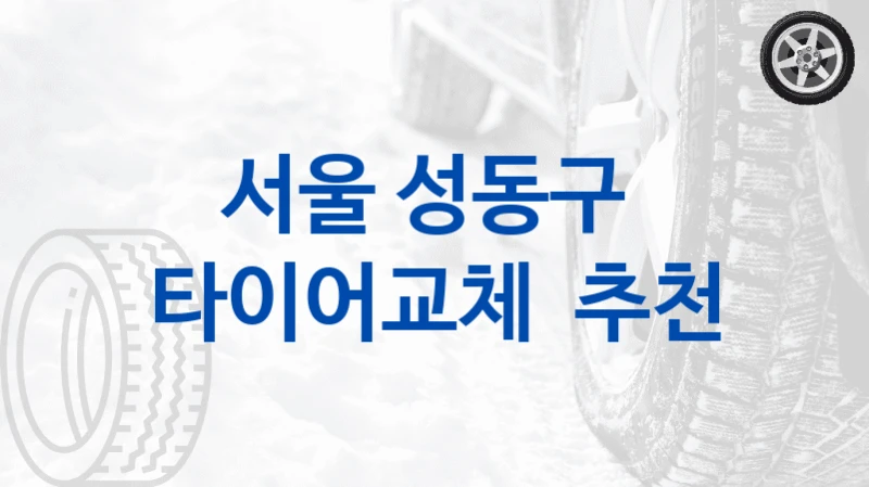서울 성동구 
타이어교체  추천