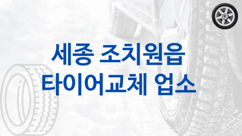 세종 조치원읍 
타이어교체 업소