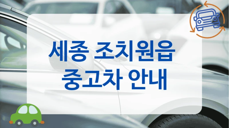 세종 조치원읍  중고차 안내