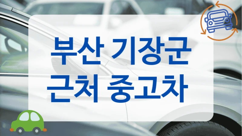 부산 기장군 근처 중고차